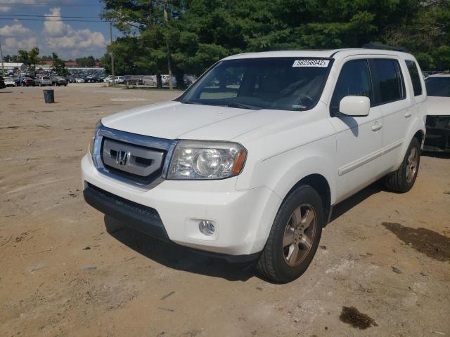 Фото 2 с аукциона – 2009 HONDA PILOT EXL с VIN 5FNYF48569B047282