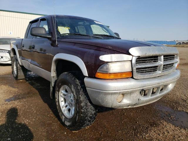 DODGE DAKOTA QUA 2004 with VIN 1D7HG48N04S728035 - Photo from auction