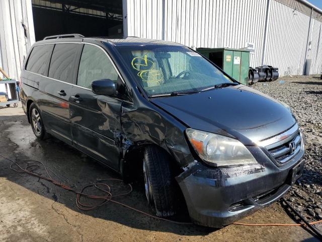 Photo 9 from auction – 2005 HONDA ODYSSEY EX with VIN 5FNRL38445B421607