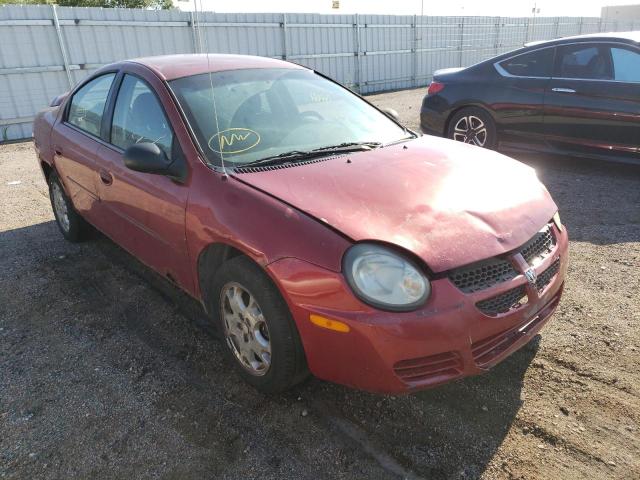 DODGE NEON SXT 2005 with VIN 1B3ES56C85D105501 - Photo from auction