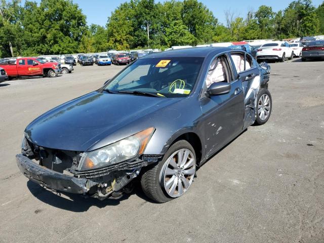 Photo 2 from auction – 2011 HONDA ACCORD EXL with VIN 1HGCP2F84BA031543