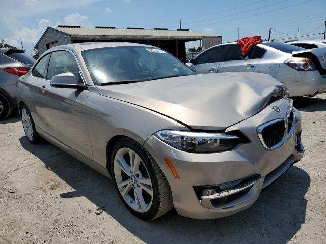 BMW 228 I 2014 with VIN WBA1F5C52EV246420 - Photo from auction