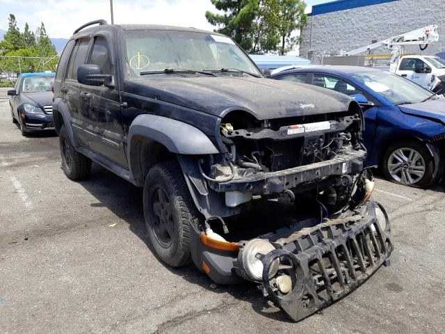JEEP LIBERTY SP 2006 with VIN 1J4GL48556W208632 - Photo from auction