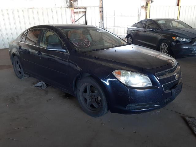 CHEVROLET MALIBU LS 2010 with VIN 1G1ZB5EB3AF239784 - Photo from auction
