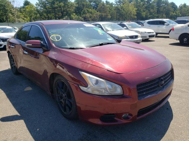 NISSAN MAXIMA S 2010 with VIN 1N4AA5AP4AC843201 - Photo from auction