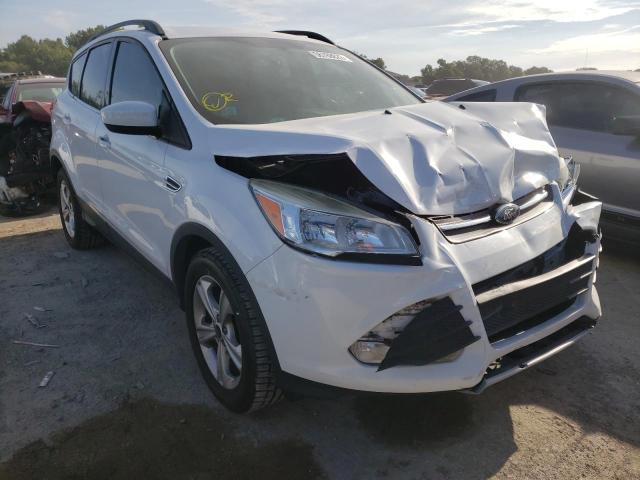 Photo 1 from auction – 2014 FORD ESCAPE SE with VIN 1FMCU0GX1EUA66959