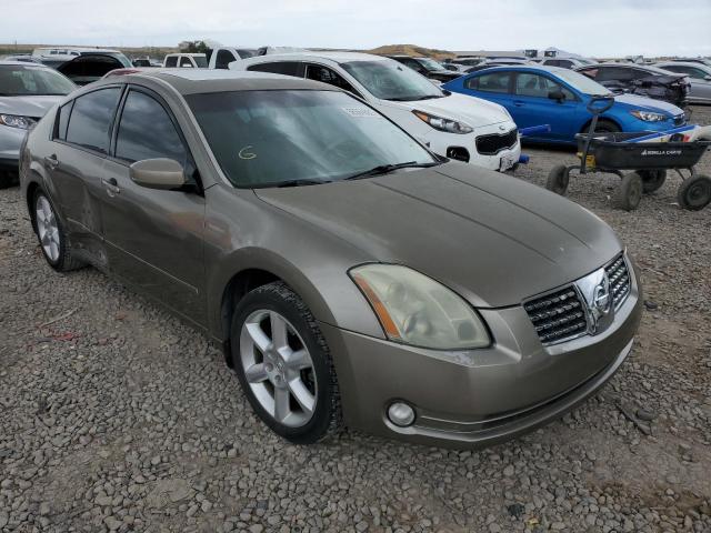 NISSAN MAXIMA SE 2004 with VIN 1N4BA41E14C926621 - Photo from auction