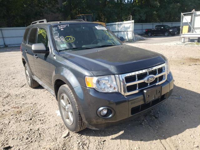 FORD ESCAPE XLT 2009 with VIN 1FMCU93G99KB39880 - Photo from auction