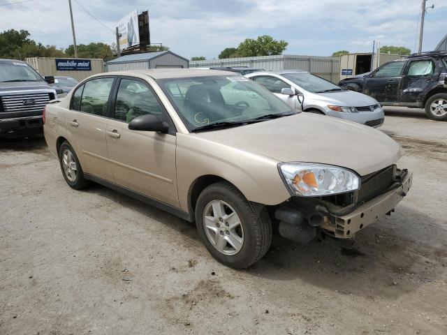 CHEVROLET MALIBU LS 2005 with VIN 1G1ZT52875F268930 - Photo from auction