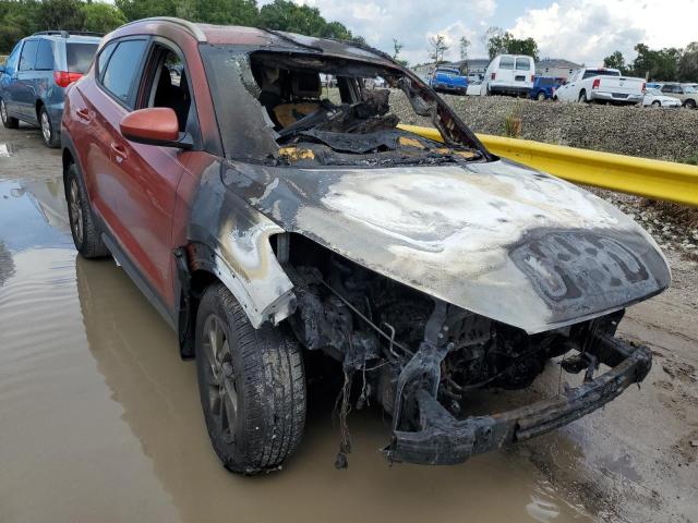 HYUNDAI TUCSON LIM 2017 with VIN KM8J33A41HU338618 - Photo from auction