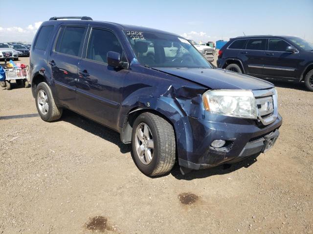 HONDA PILOT EXL 2011 with VIN 5FNYF4H52BB027312 - Photo from auction