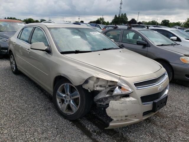 CHEVROLET MALIBU 2LT 2011 with VIN 1G1ZD5EU7BF280870 - Photo from auction