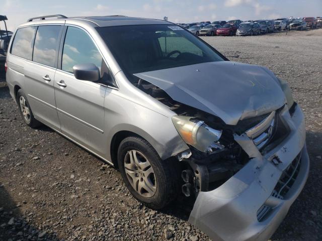 HONDA ODYSSEY EX 2005 with VIN 5FNRL38705B070608 - Photo from auction