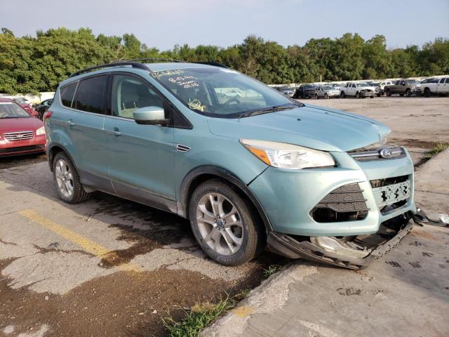 FORD ESCAPE SE 2013 with VIN 1FMCU0GX0DUB63245 - Photo from auction