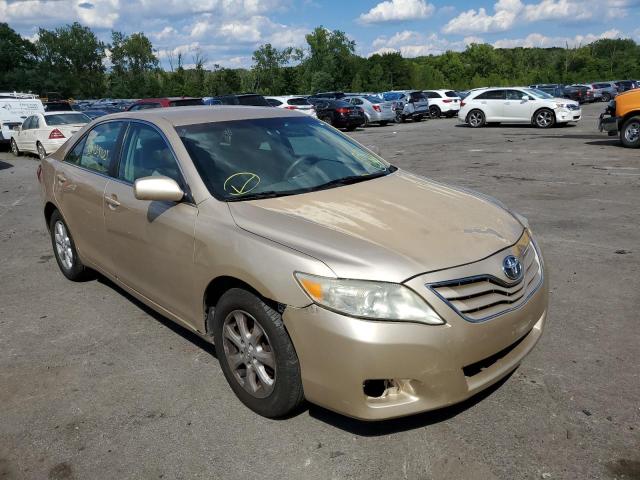 TOYOTA CAMRY BASE 2010 with VIN 4T1BF3EK7AU565953 - Photo from auction