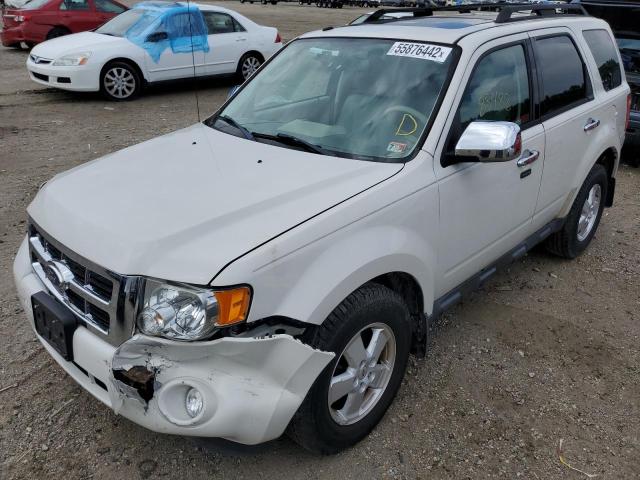 Photo 2 from auction – 2011 FORD ESCAPE XLT with VIN 1FMCU0D78BKA91630