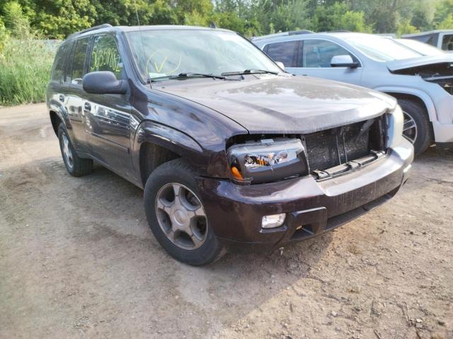 Photo 1 from auction – 2008 CHEVROLET TRAILBLAZE with VIN 1GNDT13S582180661