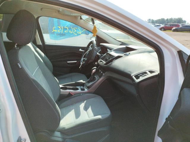 Photo 5 from auction – 2014 FORD ESCAPE SE with VIN 1FMCU0GX5EUB84304