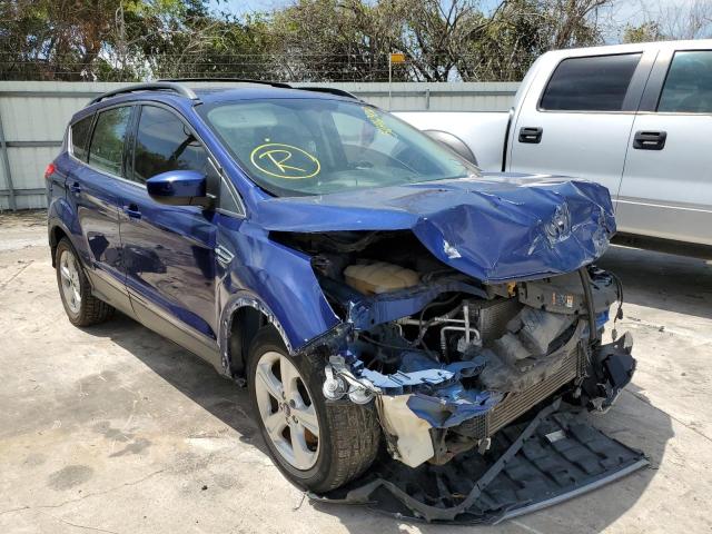 FORD ESCAPE SE 2014 with VIN 1FMCU0G97EUE13339 - Photo from auction