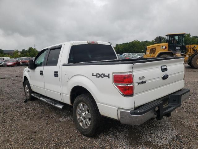 Photo 3 from auction – 2010 FORD F150 SUPER with VIN 1FTEW1E86AFC53170