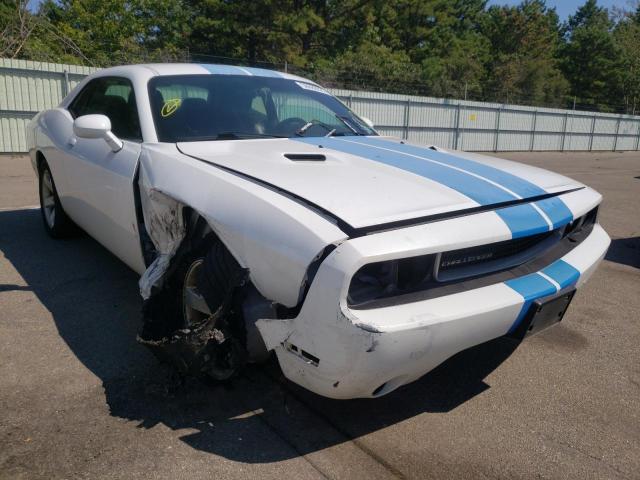 DODGE CHALLENGER 2013 with VIN 2C3CDYAG4DH719124 - Photo from auction