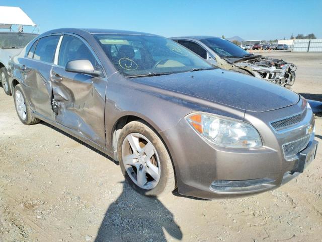 CHEVROLET MALIBU LS 2011 with VIN 1G1ZA5E17BF354013 - Photo from auction