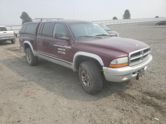 DODGE DAKOTA 2003 with VIN 1D7HG48XX3S235480 - Photo from auction