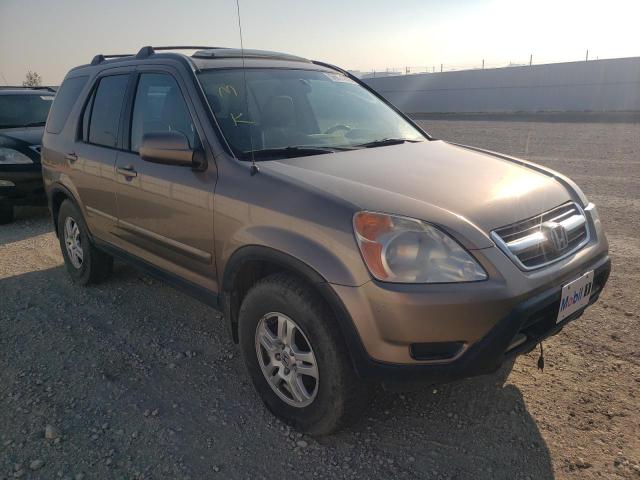 HONDA CR-V EX 2003 with VIN JHLRD78923C813496 - Photo from auction