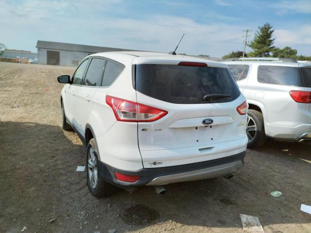 Photo 9 from auction – 2014 FORD ESCAPE SE with VIN 1FMCU0GX5EUB84304