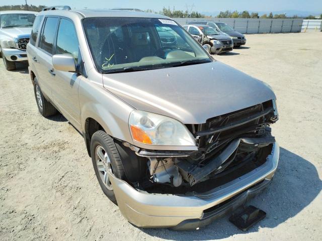 HONDA PILOT EXL 2005 with VIN 5FNYF18555B050506 - Photo from auction