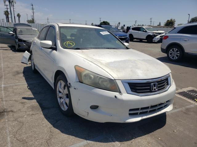 HONDA ACCORD EX 2010 with VIN 5KBCP3F75AB008257 - Photo from auction