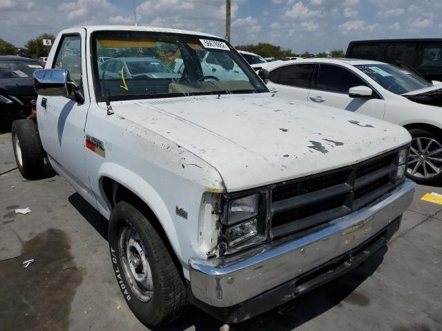 DODGE DAKOTA 1988 with VIN 1B6WN14X0JS750775 - Photo from auction