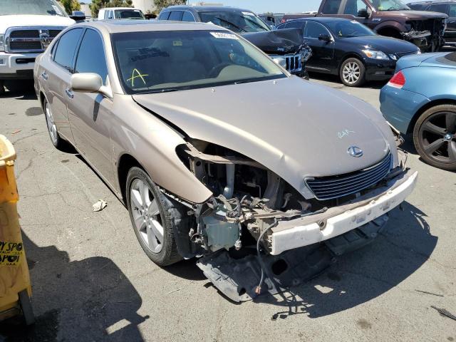 LEXUS ES 330 2005 with VIN JTHBA30G155113842 - Photo from auction