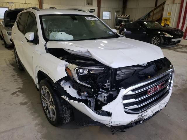 GMC TERRAIN SL 2019 with VIN 3GKALPEX0KL306362 - Photo from auction