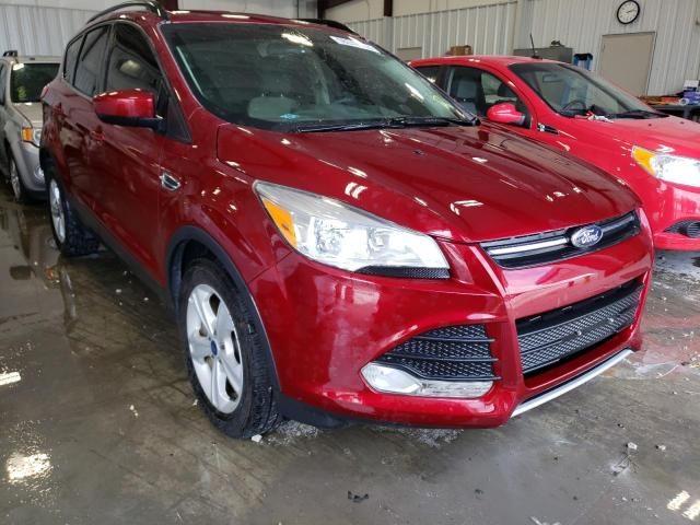 FORD ESCAPE SE 2014 with VIN 1FMCU0GXXEUC07270 - Photo from auction