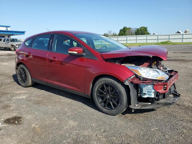 FORD FOCUS SE 2013 with VIN 1FADP3K29DL122024 - Photo from auction