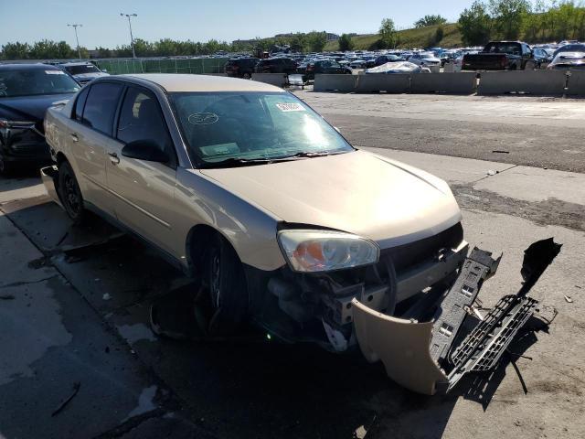 Photo 1 from auction – 2005 CHEVROLET MALIBU LS with VIN 1G1ZT52865F312223