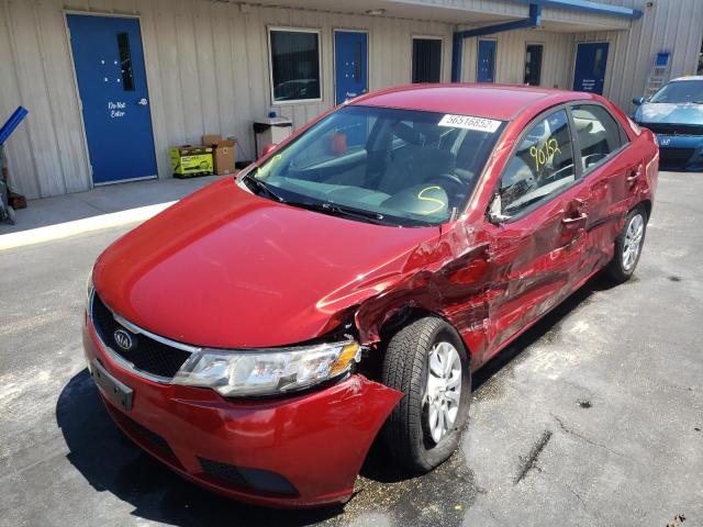Photo 9 from auction – 2010 KIA FORTE EX with VIN KNAFU4A20A5191944