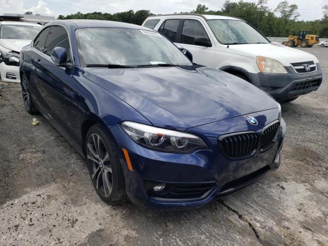 BMW 230I 2019 with VIN WBA2J1C57KVD10185 - Photo from auction