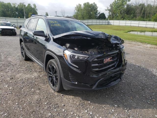 GMC TERRAIN SL 2020 with VIN 3GKALTEV5LL341360 - Photo from auction