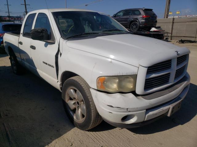 DODGE RAM 1500 2002 with VIN 1D7HA18Z42J224920 - Photo from auction