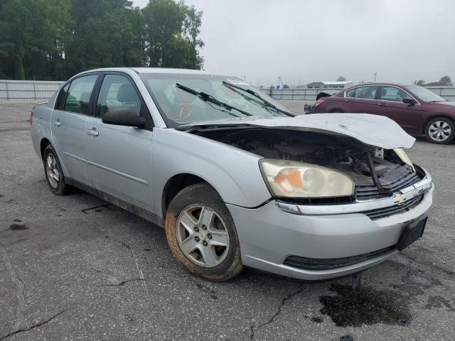 CHEVROLET MALIBU LS 2005 with VIN 1G1ZT54885F160359 - Photo from auction