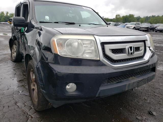 HONDA PILOT EXL 2011 with VIN 5FNYF4H58BB057656 - Photo from auction