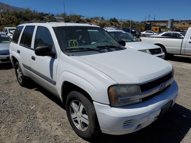 CHEVROLET TRAILBLAZE 2005 with VIN 1GNDT13S252198725 - Photo from auction