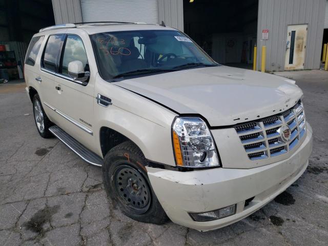 CADILLAC ESCALADE L 2013 with VIN 1GYS4BEFXDR124312 - Photo from auction