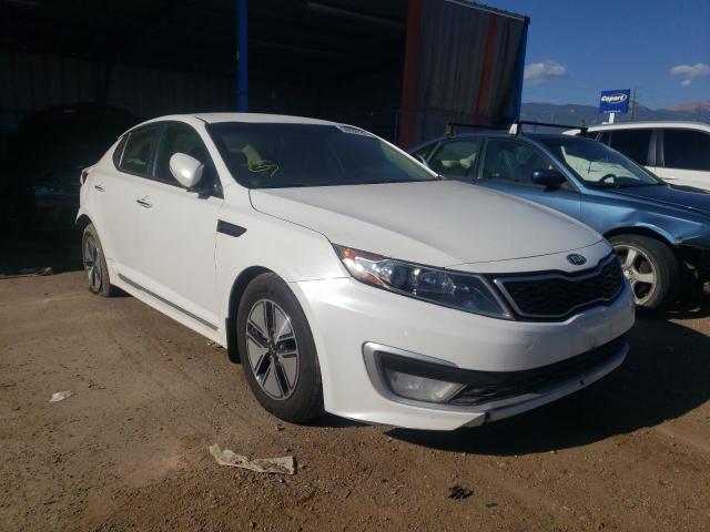KIA OPTIMA HYB 2012 with VIN KNAGM4AD0C5031491 - Photo from auction