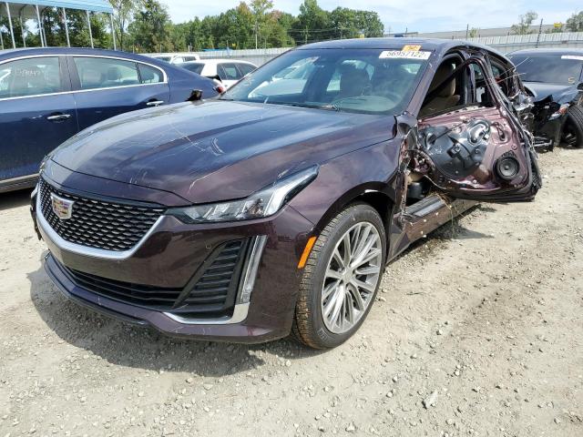 Photo 2 from auction – 2021 CADILLAC CT5 PREMIU with VIN 1G6DN5RW2M0111567
