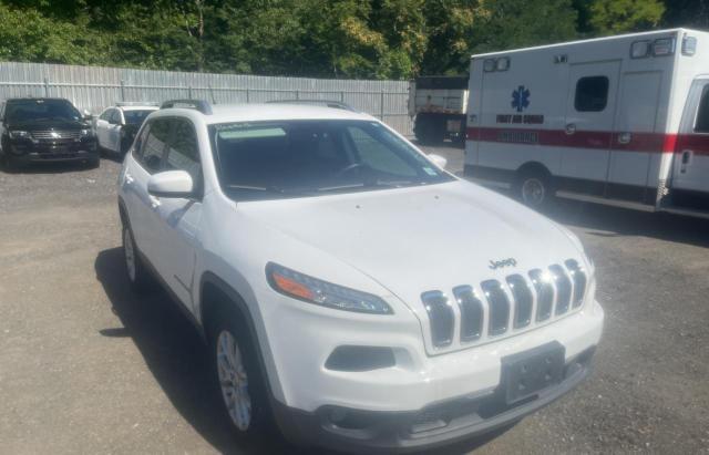 JEEP CHEROKEE L 2018 z numerem VIN 1C4PJMCB7JD601447 - Zdjęcie z aukcji