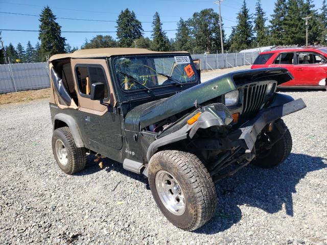 JEEP WRANGLER / 1995 with VIN 1J4FY29S8SP205752 - Photo from auction