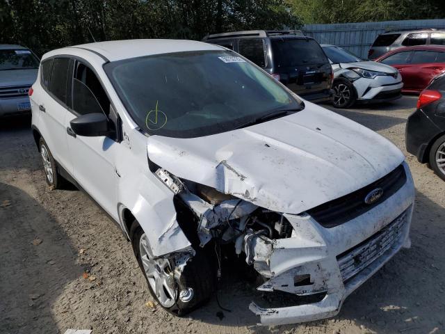 FORD ESCAPE S 2014 with VIN 1FMCU0F75EUB97801 - Photo from auction